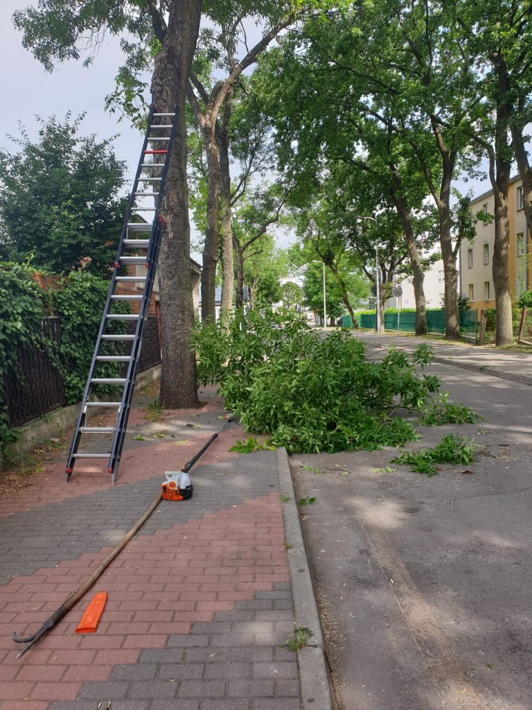 23.07.2020_01